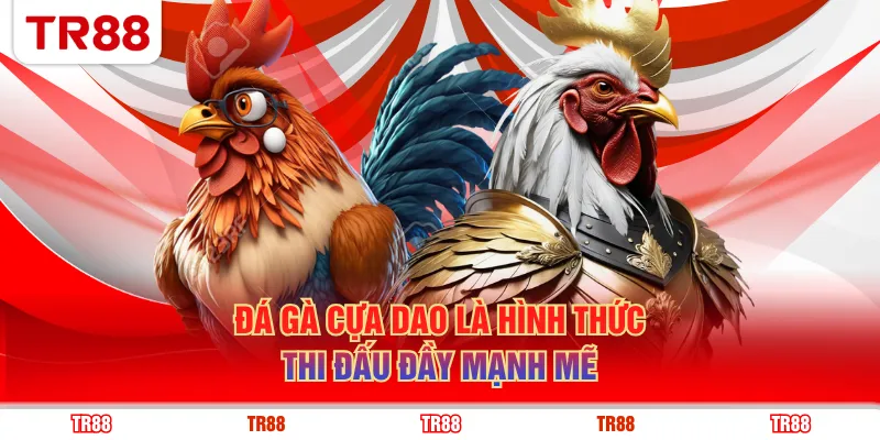 Đá gà cựa dao là hình thức thi đấu đầy mạnh mẽ